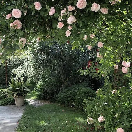 Bed and breakfast Ca'vermiglia Bolonia